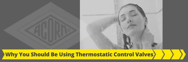 Why You Should Be Using Thermostatic Control Valves Why You Should Be Using Thermostatic Control Valves